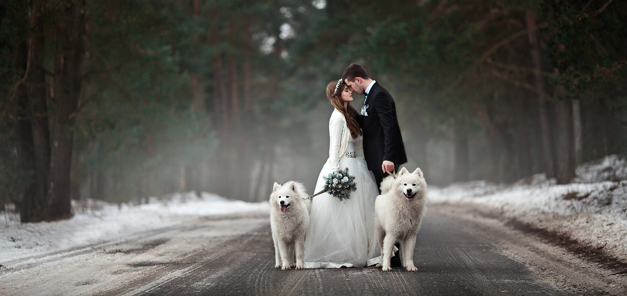 Как Создать Необычную Свадьбу: Животные на Фотосессии